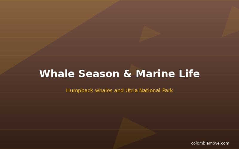 Whale watching and eco-tourism on Colombia Pacific coast