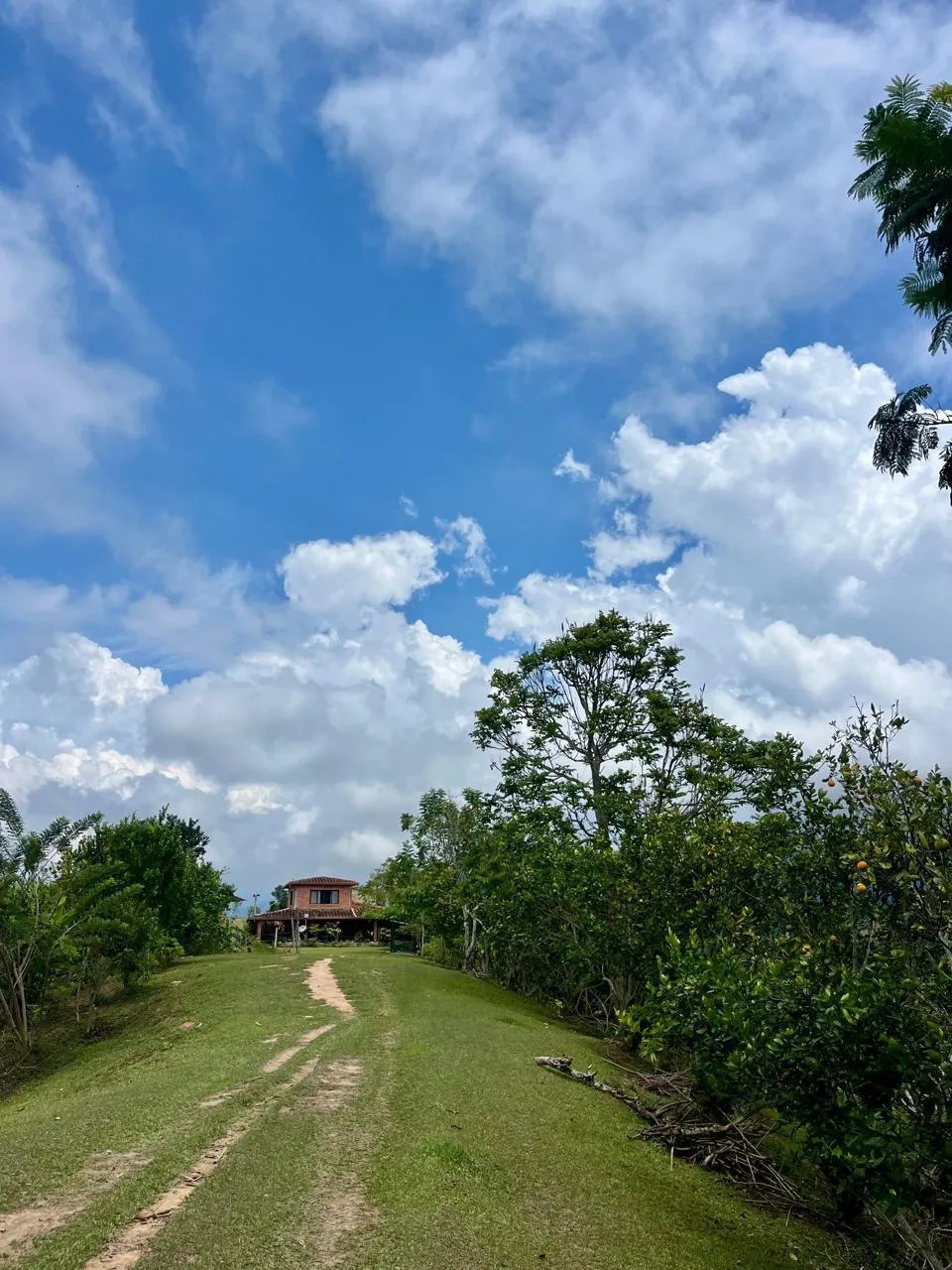 Finca 20 ha productiva - cacao/aguacate/cítricos + 2 casas + lagos — Rionegro Santander $1.300M - 4