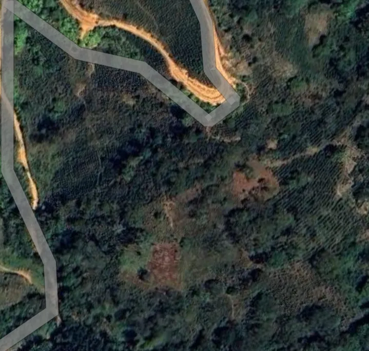 EN VENTA 2 LOTES DE 5 HECTÁREAS CON CULTIVO DE CAFE - 3