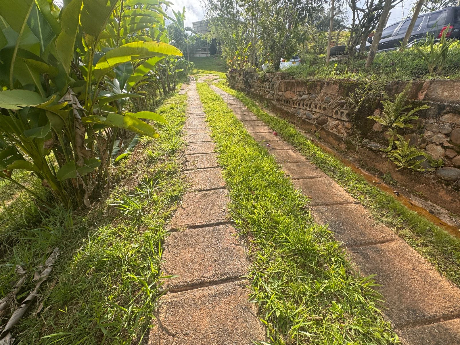 Parcela agrícola 2.670 m² con casa de 132 m² en Cali, linderos a carretera - 11