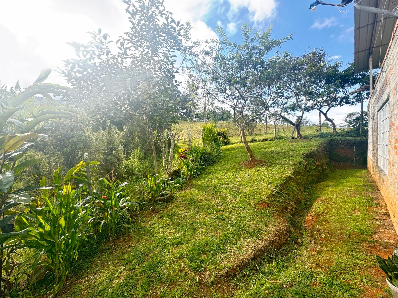 Parcela agrícola 2.670 m² con casa de 132 m² en Cali, linderos a carretera - 16