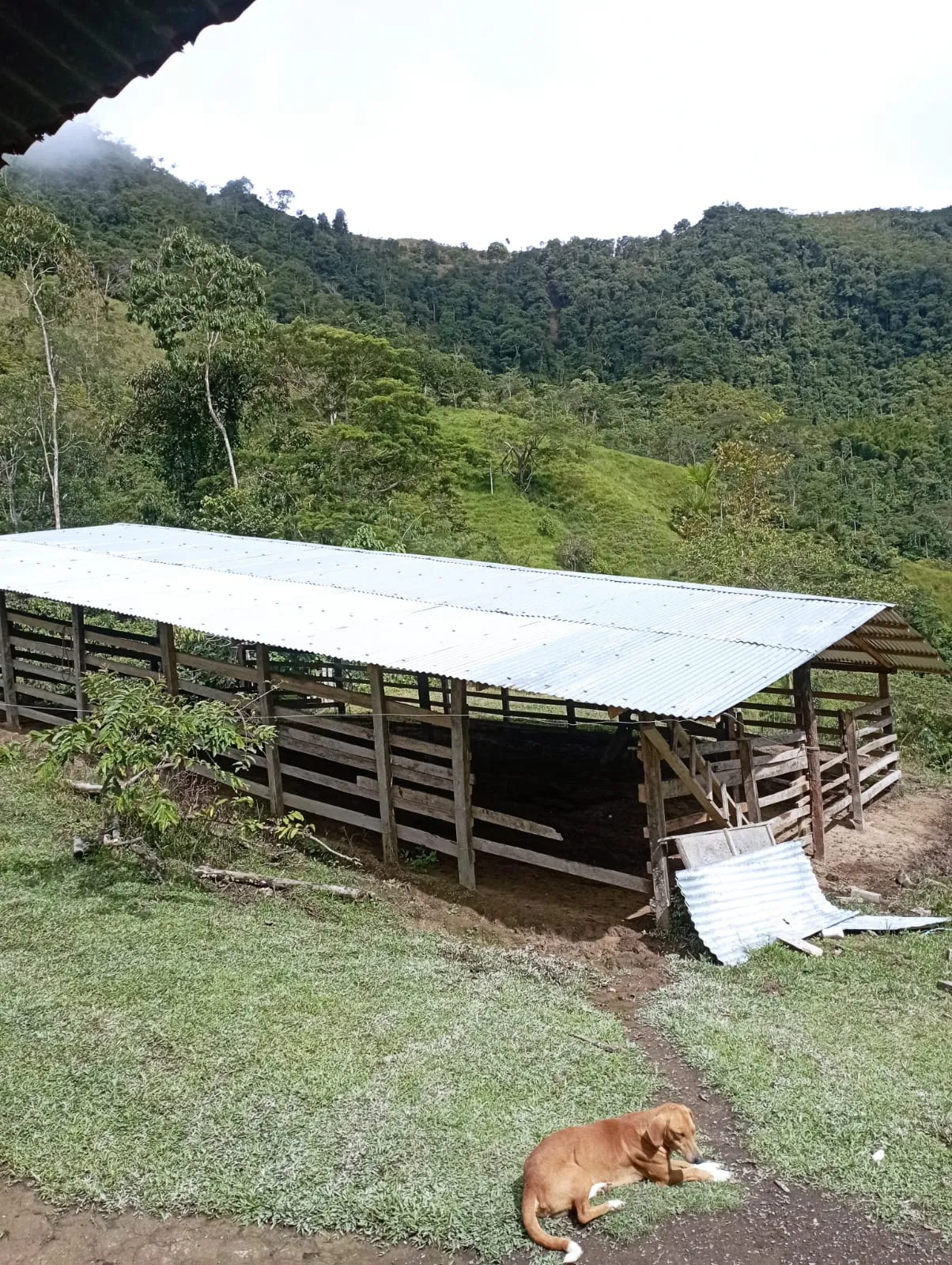 Hermosa propiedad 97 ectareas La finca está