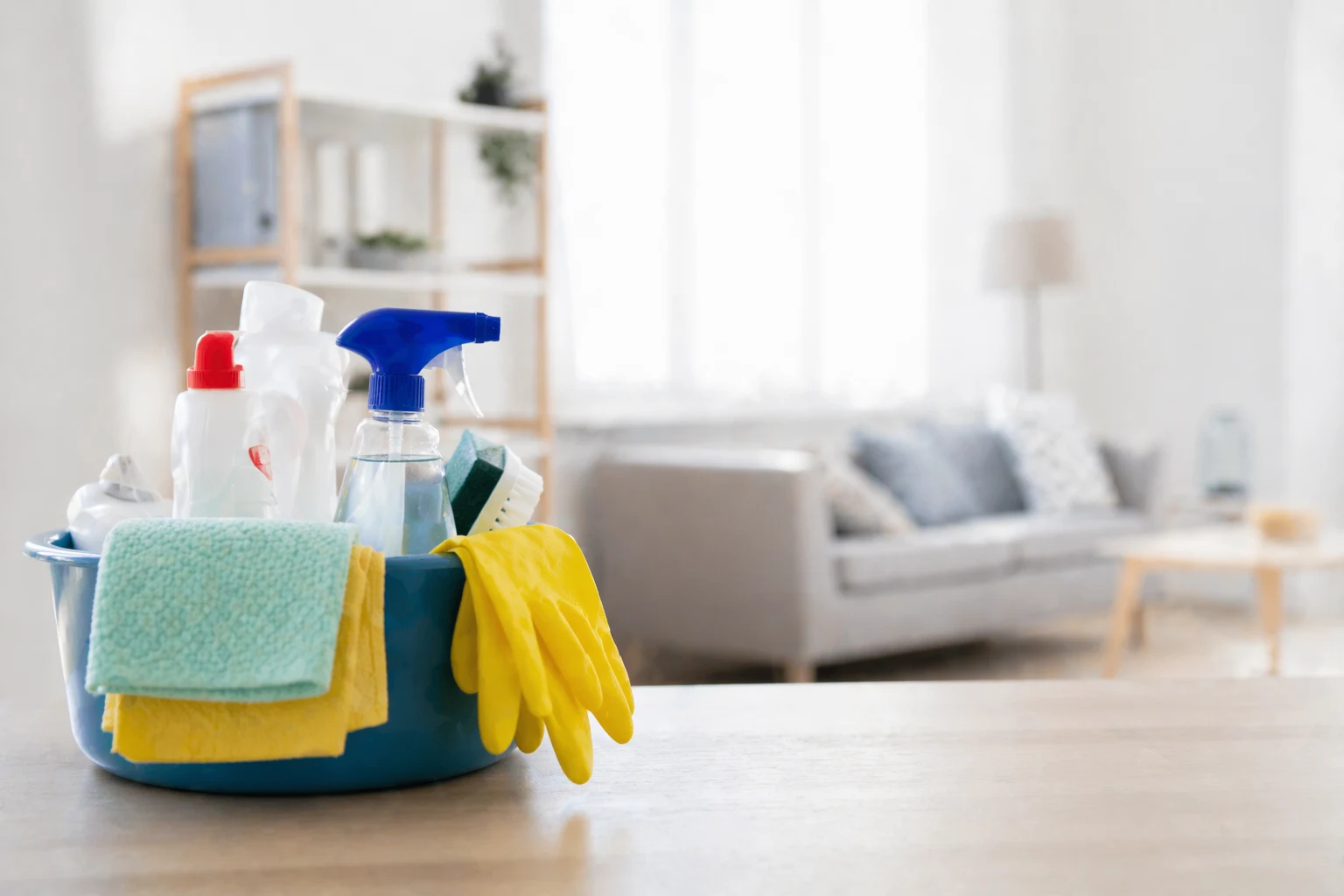 Espacios Limpios, Vidas Felices