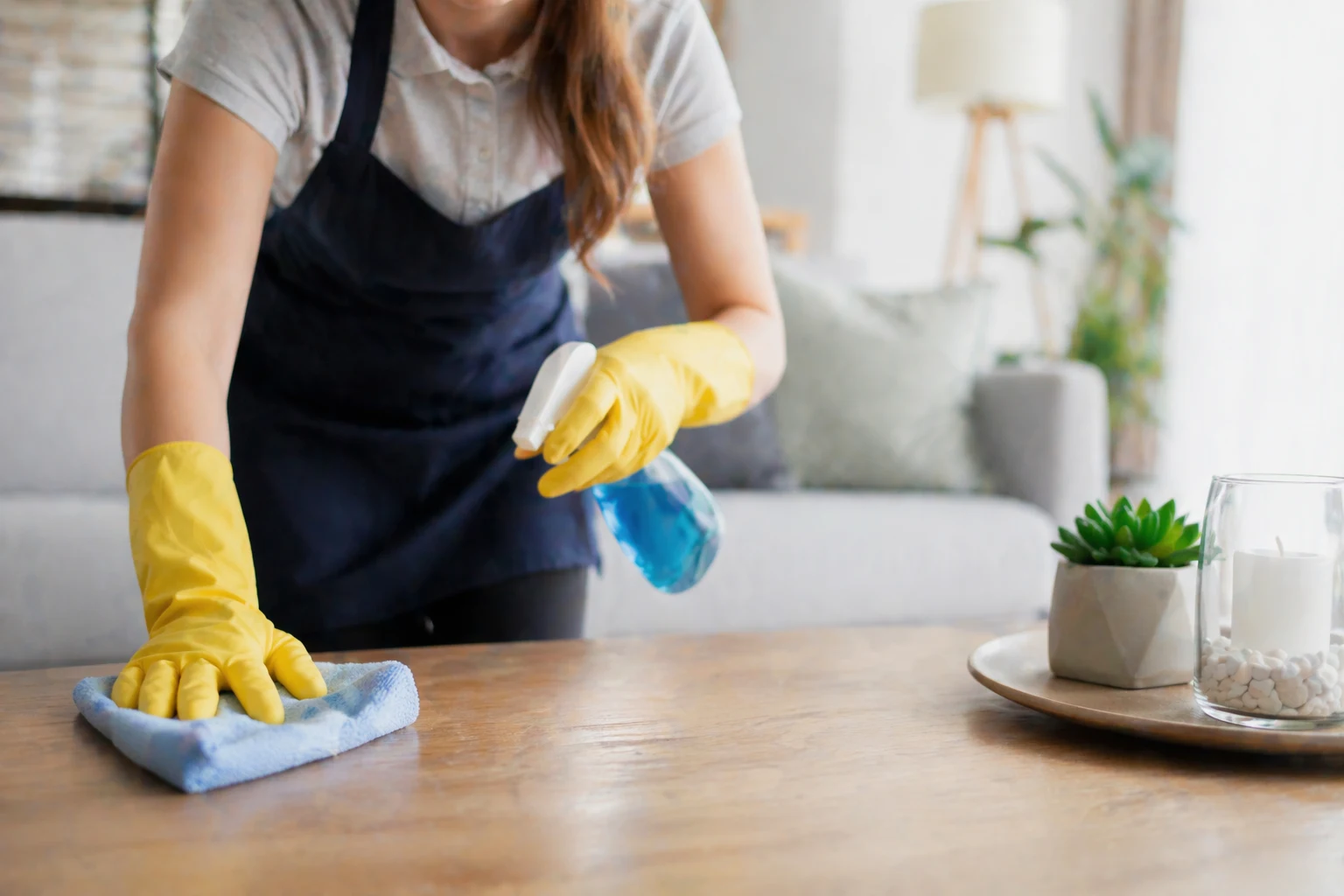 Espacios Limpios, Vidas Felices - 2