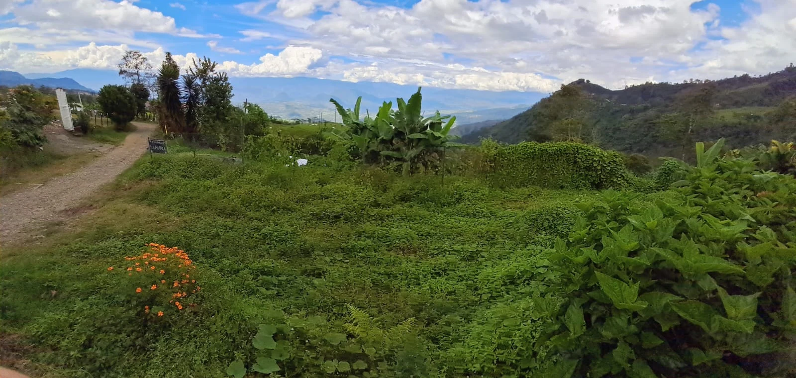 Se vende lote en el suroeste antioqueño - 2