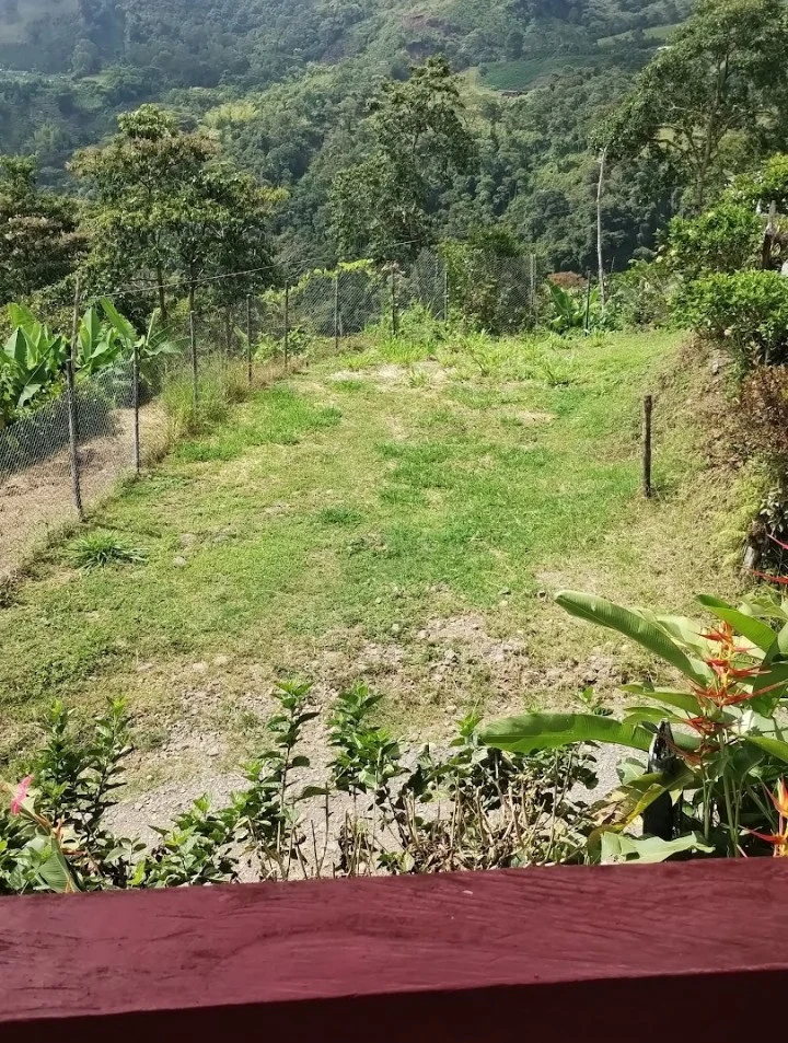 Se vende lote en el suroeste antioqueño - 5