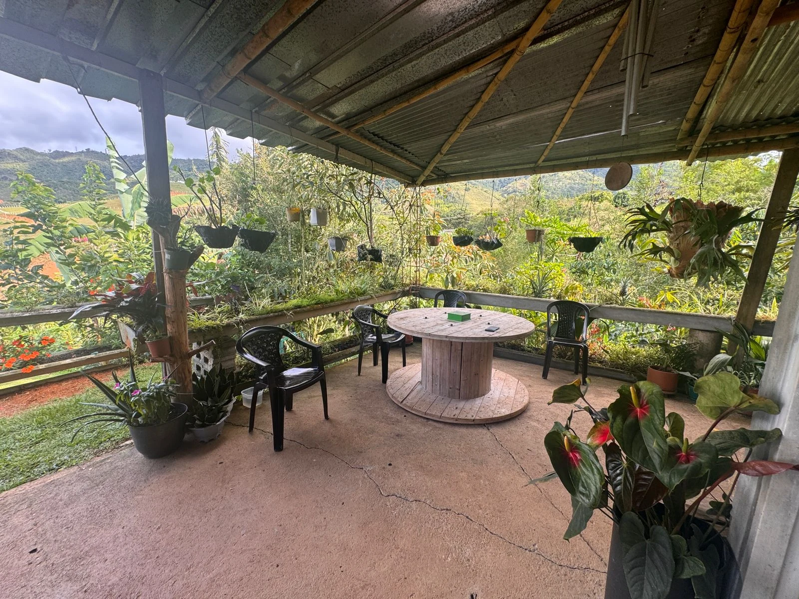 Parcela agrícola 2.670 m² con casa de 132 m² en Cali, linderos a carretera - 13