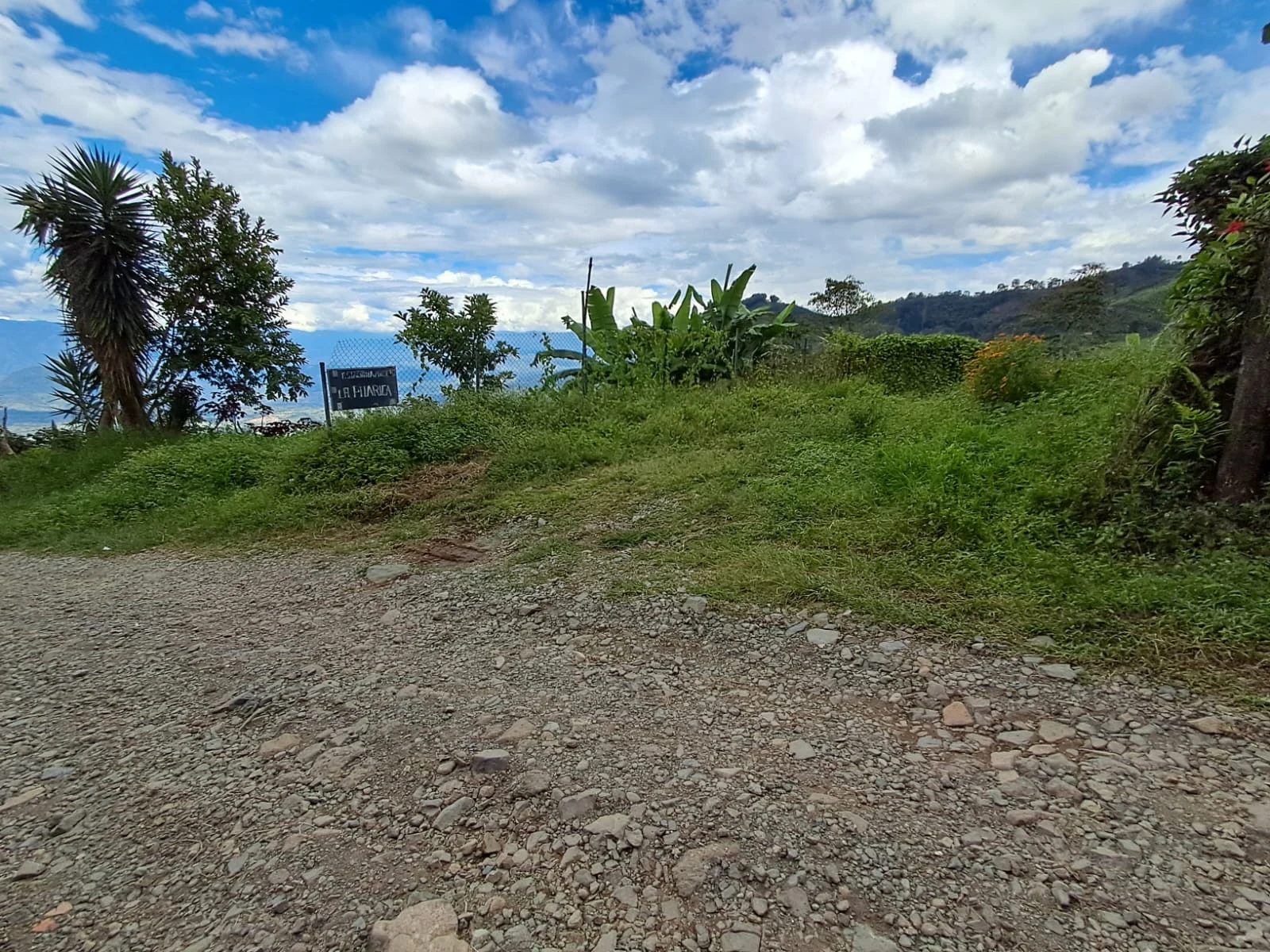 Se vende lote en el suroeste antioqueño - 3